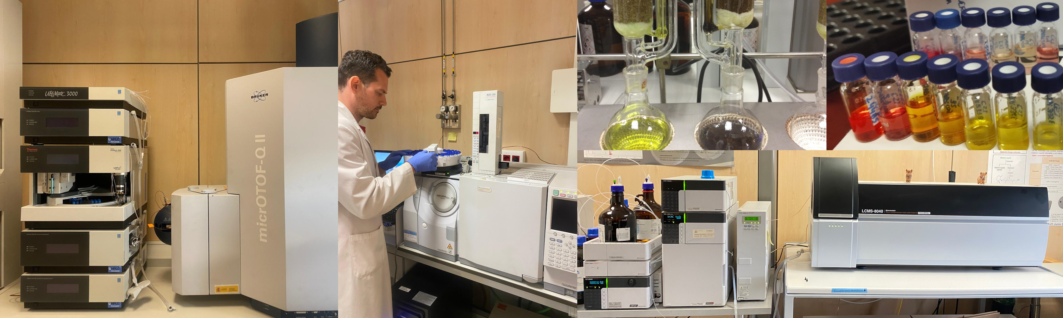Metabolómica: análisis de metabolitos secundarios